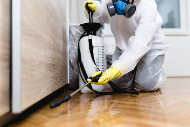 Best Mosquito Control Services  in Buhler, KS