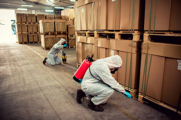 Best Exterminator Services  in Buhler, KS
