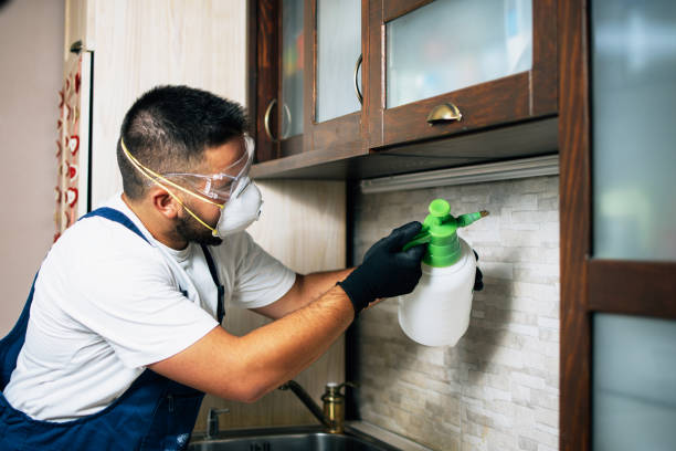 Best Pest Removal Services  in Buhler, KS