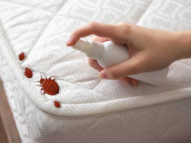 Best Pest Prevention Services  in Buhler, KS