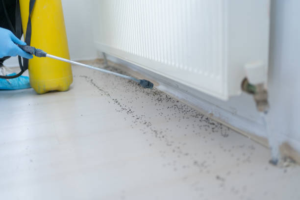 Best Pest Inspection Near Me  in Buhler, KS