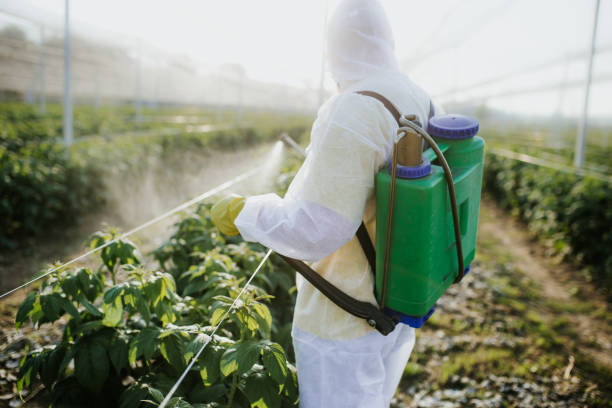 Best Best Pest Control Companies  in Buhler, KS